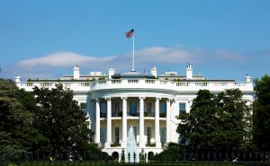 Trump & Musk: dolgozók visszarendelése